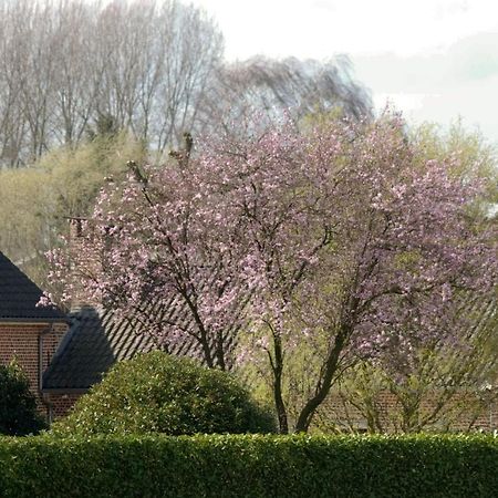 De Rankhove Bed and Breakfast Herne Exteriör bild