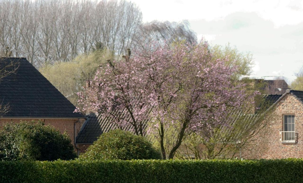 De Rankhove Bed and Breakfast Herne Exteriör bild